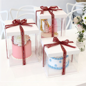 3 in 1 Clear PET Cake Box25